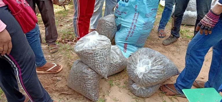 ផ្សិតប៉ក់មានហាងឆេងខ្ពស់នៅតាមទីផ្សារច្រកព្រំដែនខ្មែរ ថៃ