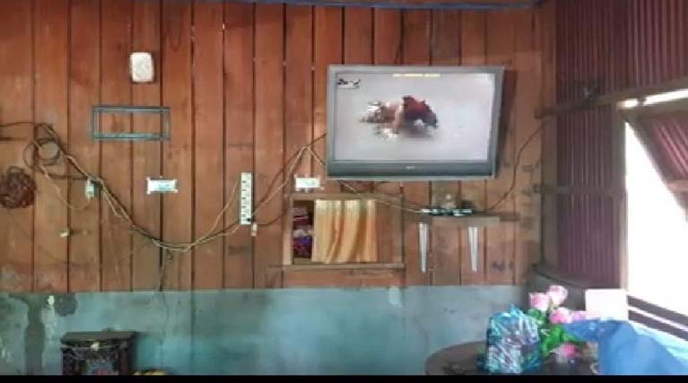 បង្ក្រាបល្បែងស៊ីសង ជល់មាន់ ចាក់លុយតាមទូរទស្សន៍ អនឡាញ នៅស្រុកតាំងគោក