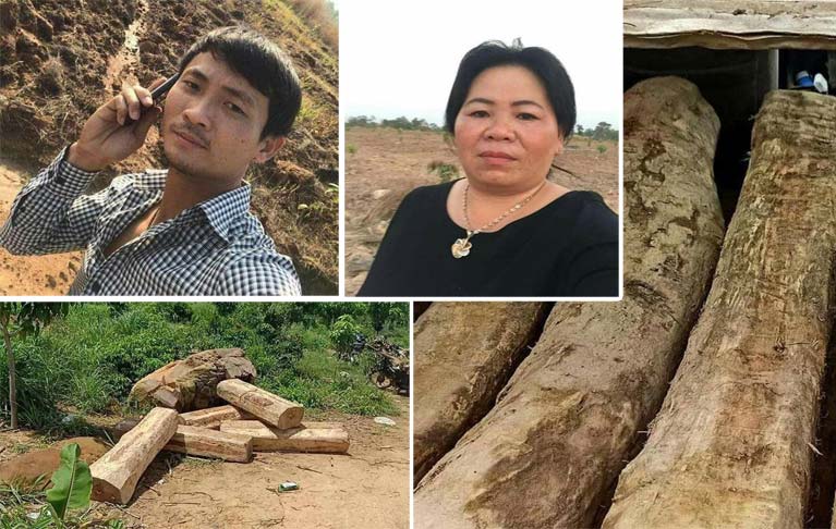 ឈ្មួញឈើប្រណិតចាប់ផ្ដើមកក្រើកវិញហើយ