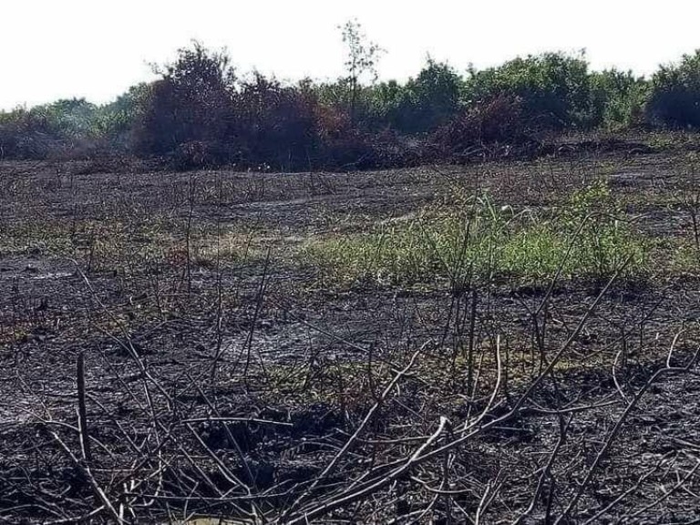 ពលរដ្នរឹះគន់ថាព្រៃលិចទឹកតំបន់៣រលាយហិចហោចក្នុងពេល លោក កងស៊ីជឿនឡើងធ្វើជាមេឃុំ និង លោកលាប ធាង ធ្វើជានាយសង្កាត់រដ្ឋបាលជលផល