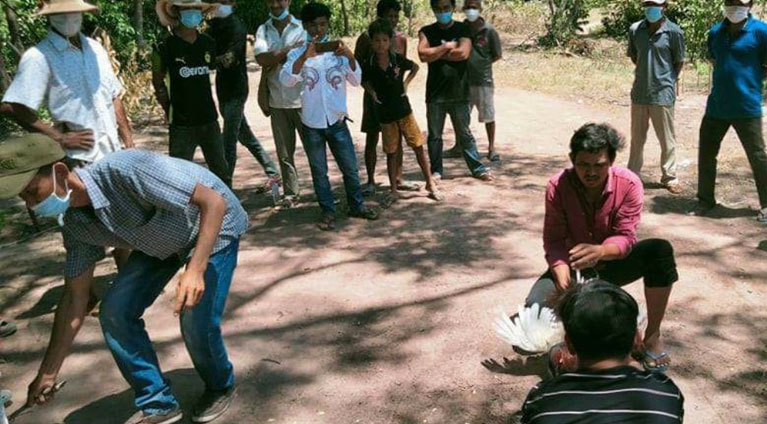 ពិតជាផ្គើនណាស់ ឈ្មោះប៊ីហើយនិងបក្ខពួកគូរកន ឈ្មោះពន្លក ហ៊ានបើកសង្វៀនជល់មាន់និងល្បែងស៊ីមួយចំនួនទៀតផ្ទុយនិងអនុសាសន៍របស់សម្ដេច