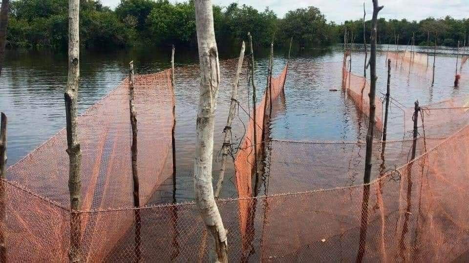 បទល្មើសនេសាទកើតឡើងពេញបន្ទុកខណះពេលមិនទាន់តែងតាំងនាយខណ្ទរដ្ឋបាលជលផលថ្មី