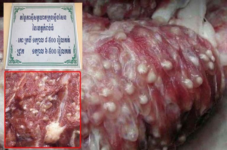 ទម្លាយរឿងមន្ដ្រីពេទ្យសត្វមួយចំនួនកំពុងឃុបឃិតគ្នាកេងប្រវ័ន្ដចំណូលរដ្ន និងមិនសូវគិតពីសុខភាពសារធារណះ