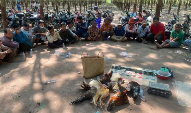 កម្លាំង​ជំនាញ​សមត្ថកិច្ច ចុះ​បង្ក្រាប​ក្រុម​ញៀន​ល្បែងស៊ីសង​ខុសច្បាប់ និង​ឃាត់ខ្លួន​១៧​នាក់ ក្នុង​ចម្កា​កៅស៊ូ នៅ​ស្រុក​ស្ទឹងត្រង់​