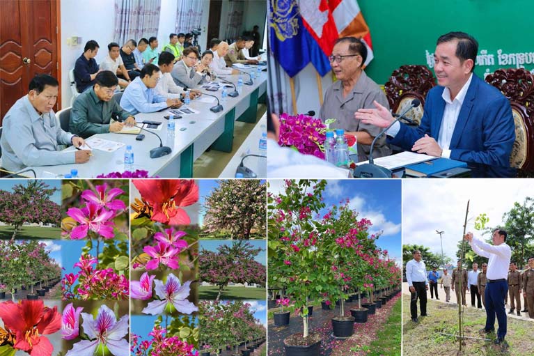 ដើមឈើផ្កា “ជើងគោ” ១៥.០០០ដើម នឹងដាំនៅតាមបណ្តោយផ្លូវជាតិលេខ៧ (ស្គន់-ក្រងកំពង់ចាម)